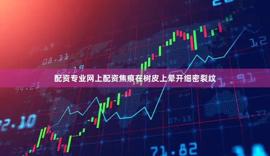 配资专业网上配资焦痕在树皮上晕开细密裂纹
