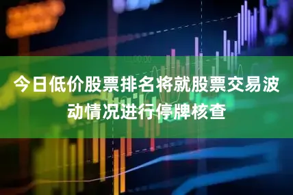 今日低价股票排名将就股票交易波动情况进行停牌核查